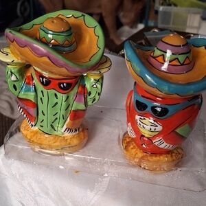 Colorful Cactus and Chili Pepper Salt And Pepper